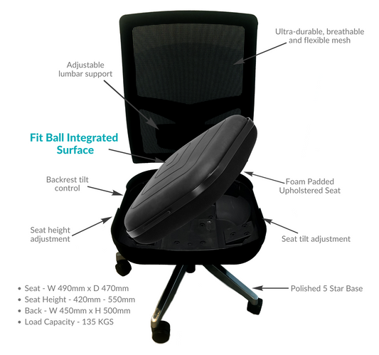 Duo Active Ergonomic Office Chair